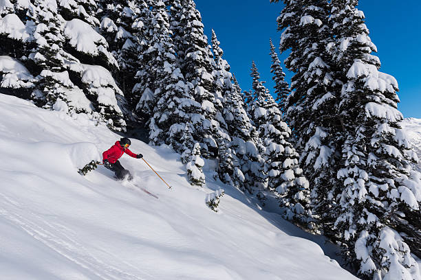 istock Female tree skiing fresh powder 629653862