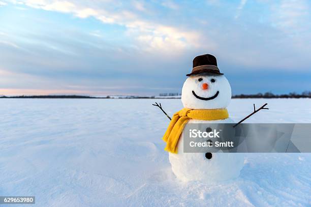 Snowman Stock Photo - Download Image Now - Snowman, Snow, Day