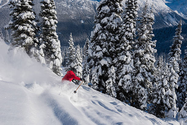 istock Female tree skiing fresh powder 629654018