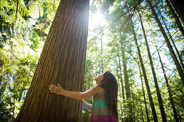 jeune fille se connectant avec la nature - child contemplation thinking little girls photos et images de collection