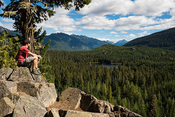 istock Enjoying the great outdoors 629654508