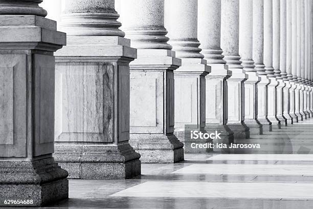 Black And White Row Of Classical Columns With Copy Space Stock Photo - Download Image Now