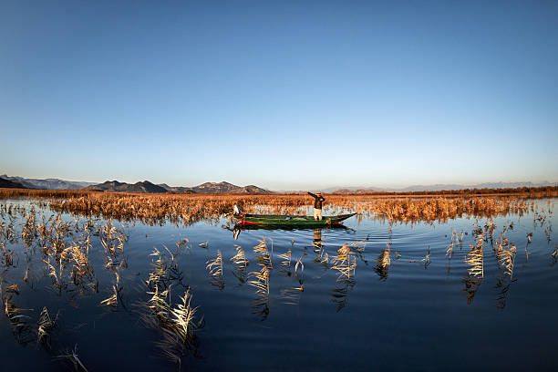 pier in a canal in the Albufera of Valencia