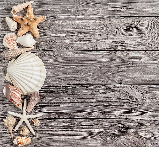 istock Starfishes and seashells are lying on a wooden table 629656290