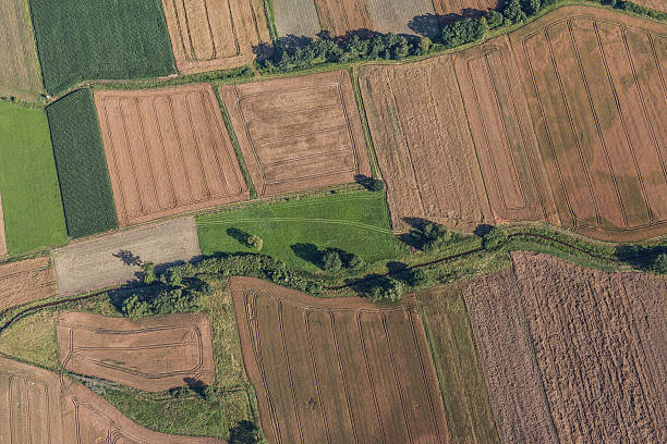istock aerial view of green harvest fields 629657364