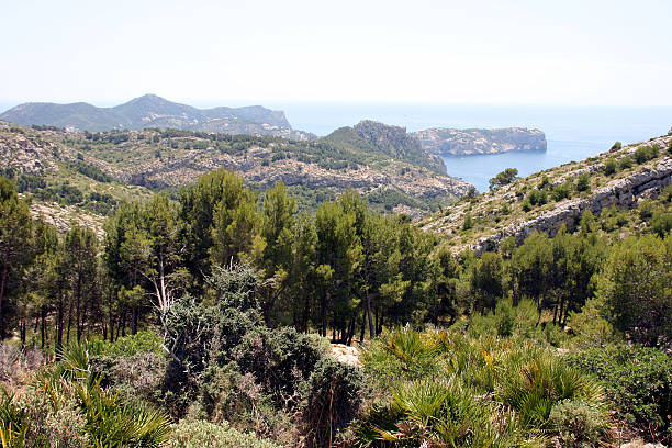 istock Sa dragonera Island, Mallorca, Spain 629657402