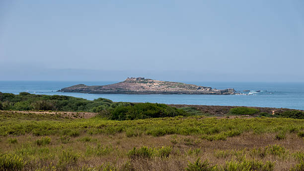 istock Road along the sea 629664954