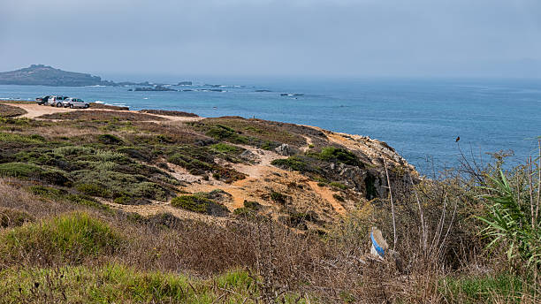 istock Road along the sea 629665018