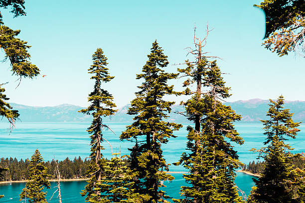 Photo of Emerald Bay and Lake Tahoe