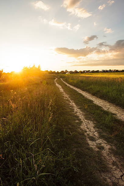 istock Rural morning landscape 629666584