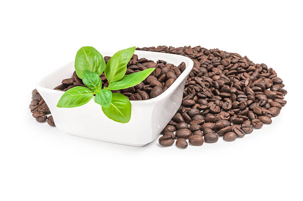 istock Brazilian coffee isolated on a white background cutout 629666922