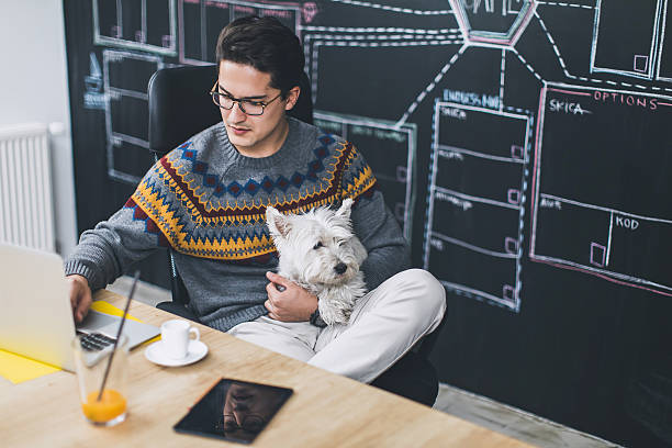 Man working in office and holding his cute dog Man working in office and holding his cute dog west highland white terrier stock pictures, royalty-free photos & images