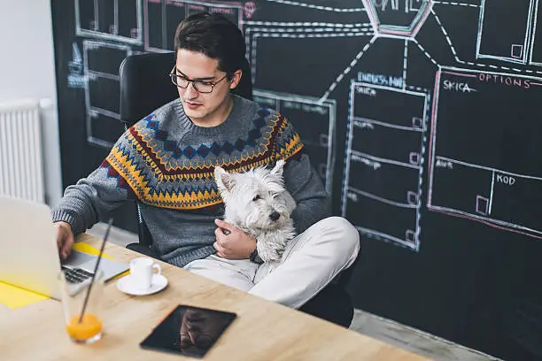 Man working in office and holding his cute dog