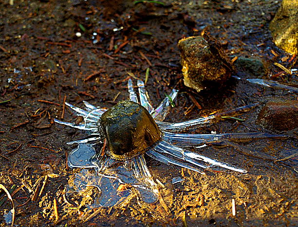 Directly above an ice cube in the embers. Ice thrown into embers to extinguish fire
