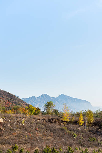 istock Autumn trees on the hill. 629677912