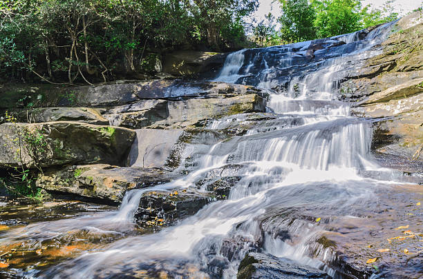 bellissima cascata naturale nel parco della thailandia - laurel foto e immagini stock