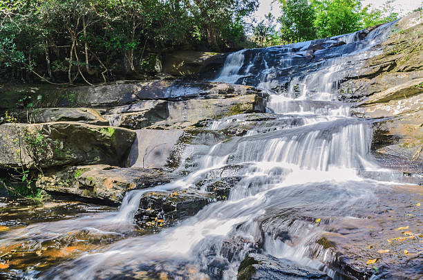 istock Beautiful nature waterfall in park thailand 629678044