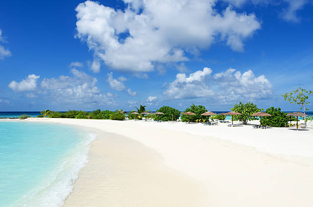 istock Tropical paradise beach of Maldives 629678092