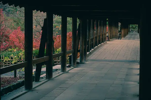 The scenery of Tofuku-ji Temple and Tsuten bridge in the morning