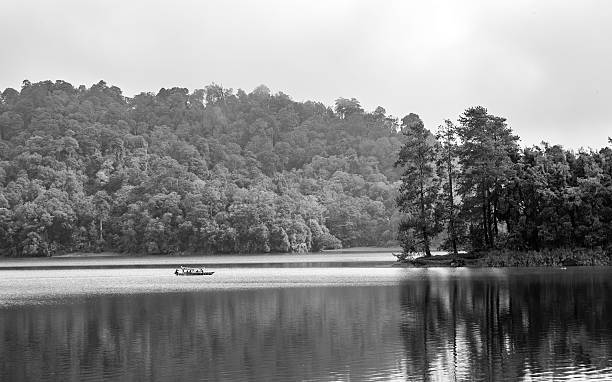 istock Beautiful scenery of huge lake, with trees 629679420