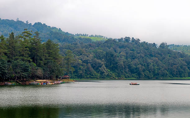 istock Beautiful scenery of huge lake, with trees 629679454