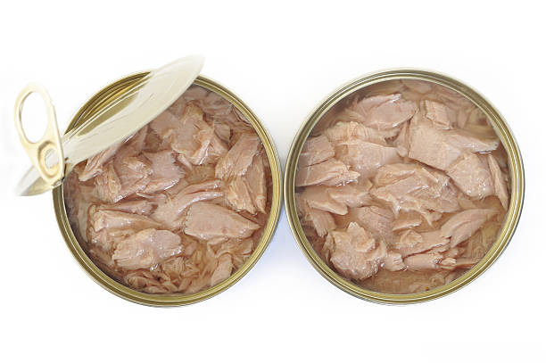 istock tuna fish canned on white background 629687252