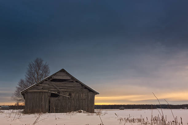 tramonto invernale sui campi - winter finland agriculture barn foto e immagini stock