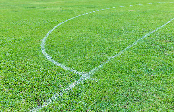 istock Football field with grass 629693412