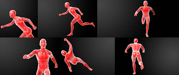 istock Running human anatomy by X-rays in red 629693578