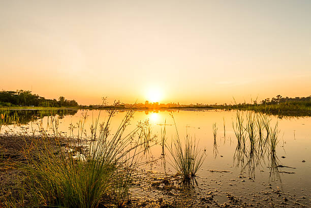 istock sunset on the lake landscape 629693938
