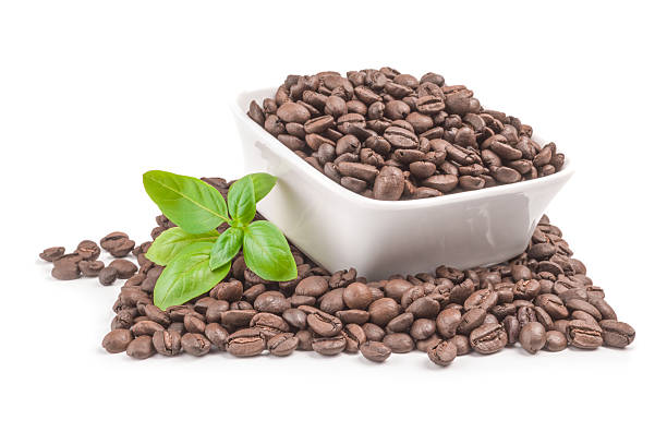 istock Brown coffee beans on a white background. Clipping path 629693992
