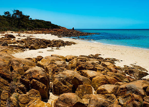 istock Rocky beach in south west australia 629694640