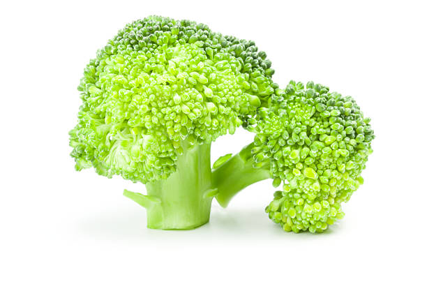 istock Fresh head of broccoli isolated on a white background cutout 629705488