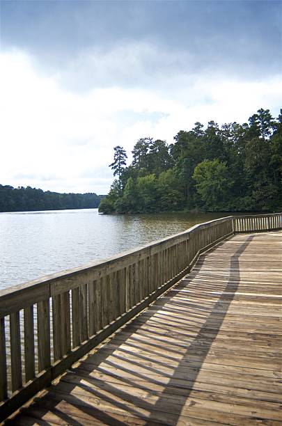 istock Walk Along the Lake 629705888