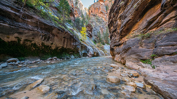 istock Amazing gorge with walls a thousand feet tall. 629706098