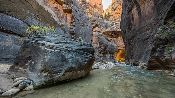 istock The river runs canyon wall to canyon wall. 629706636