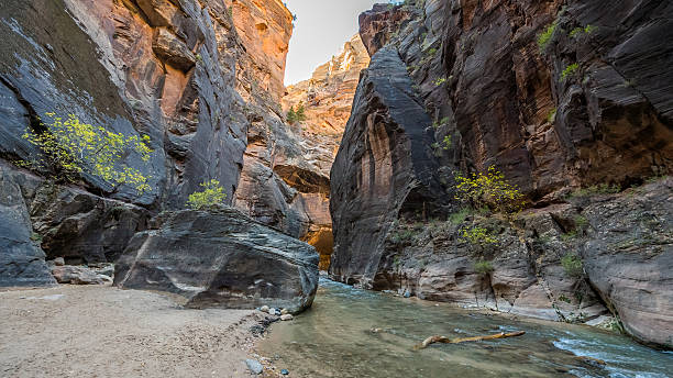 istock Amazing gorge with walls a thousand feet tall. 629706696