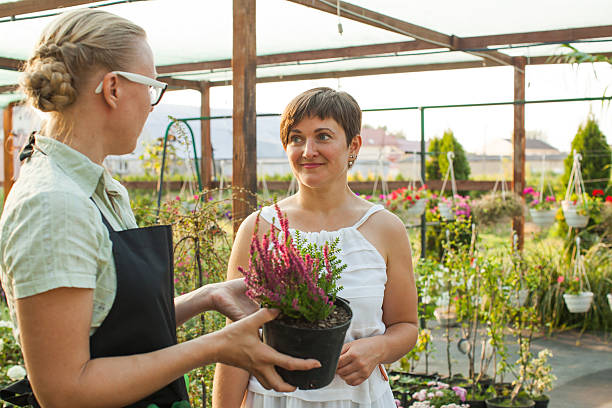 istock Florist demonstrating flowers in a pot 629706714