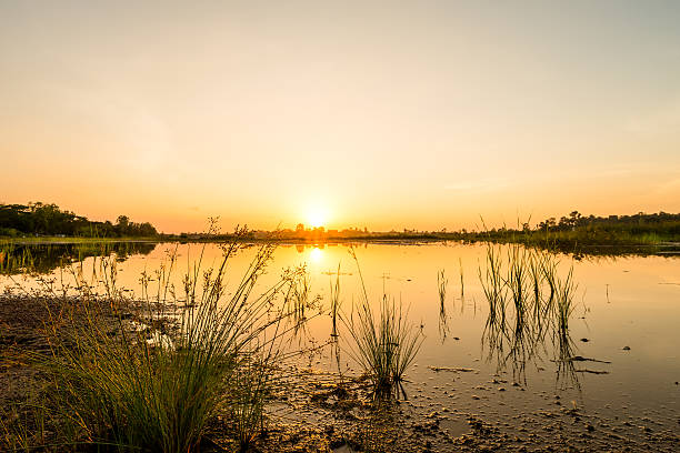 istock sunset on the lake landscape 629707466
