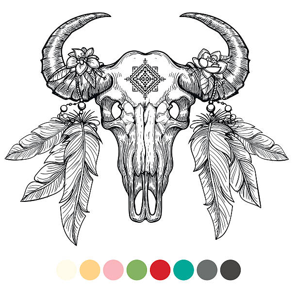 illustrations, cliparts, dessins animés et icônes de conception de coloration du crâne animal - animal skull horned wild west skull