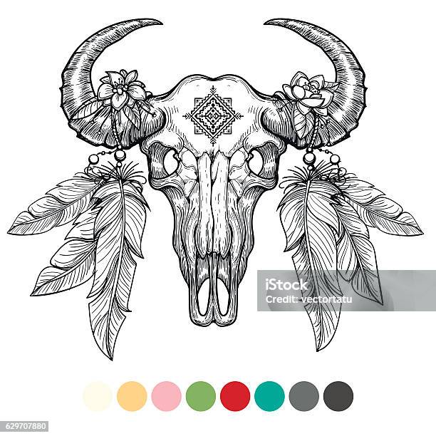 Animal Skull Coloring Design Stock Illustration - Download Image Now - Bull - Animal, Cow, West - Direction