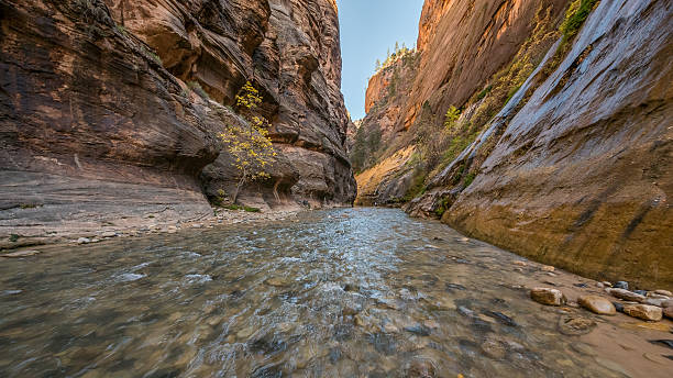 istock Amazing gorge with walls a thousand feet tall. 629708008