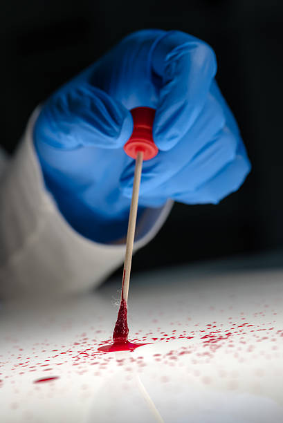 technicien médico-légal prenant l'échantillon d'adn de la tache de sang - cotton swab dna forensic science collection photos et images de collection