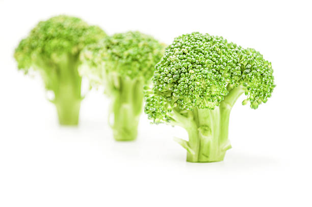 istock Fresh head of broccoli isolated on a white background cutout 629718546