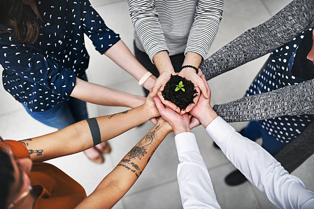 istock Watch your business flourish with teamwork 629719688
