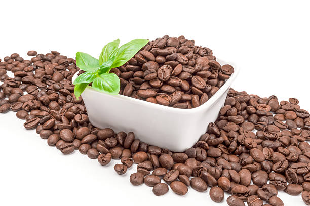 istock Brazilian coffee isolated on a white background cutout 629721398