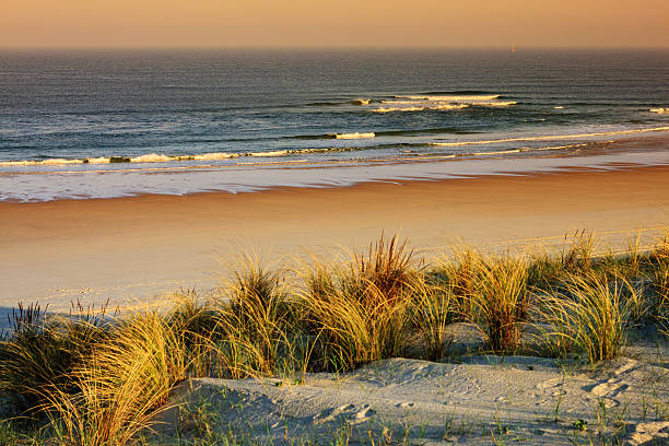 reise-hintergrund : sonnenuntergang am strand von mimizan plage - baskenland stock-fotos und bilder