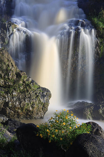 linda cachoeira no planalto central, vienam - gatlinburg waterfall smoke usa - fotografias e filmes do acervo