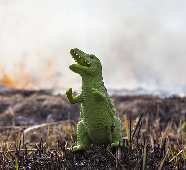 A Fukuiraptor toy on the gravel of a small park