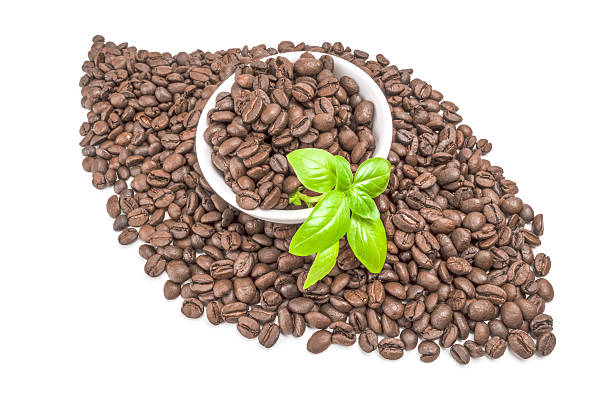 istock Brown coffee beans on a white background. Clipping path 629730312